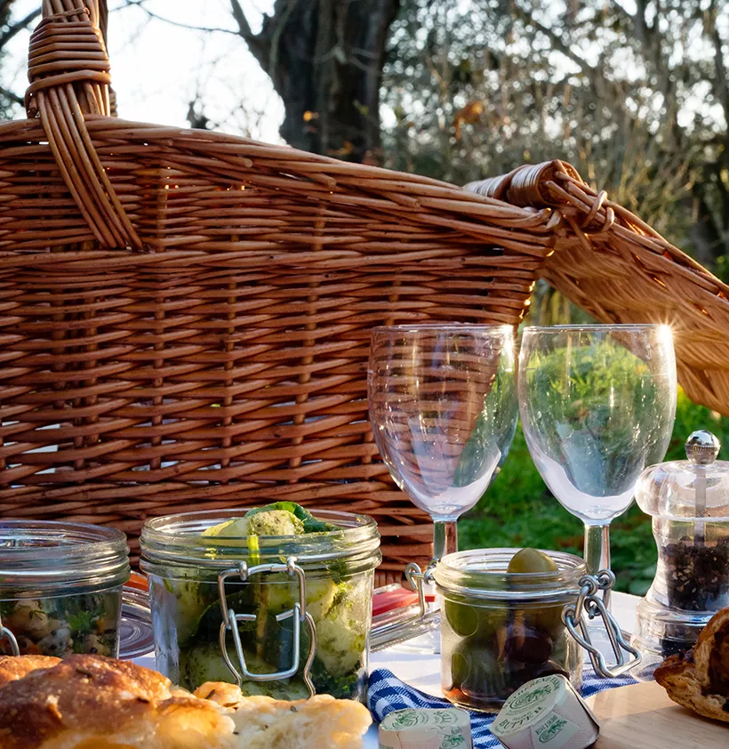 Picnicking